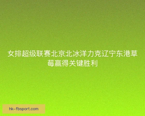 女排超级联赛北京北冰洋力克辽宁东港草莓赢得关键胜利